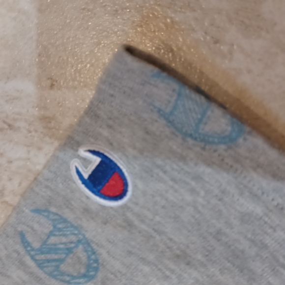 NWT Champion Gray Cropped Tee - Picture 5 of 6